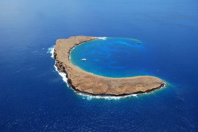 Maui Beach Parks Self-Guided Driving Tour - Maui Beach Parks Self-Guided Driving Tour Review