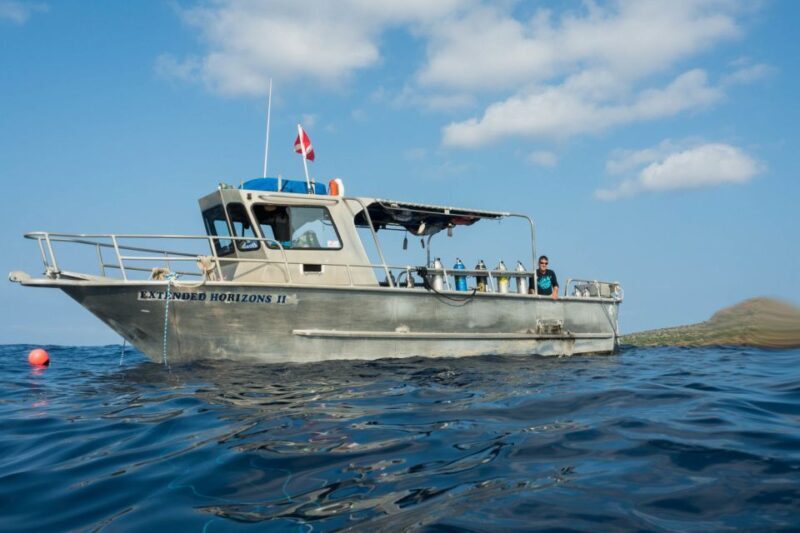 Maui: Beginner Discovery Scuba Dive Excursion from Lahaina - Analyzing the Value
