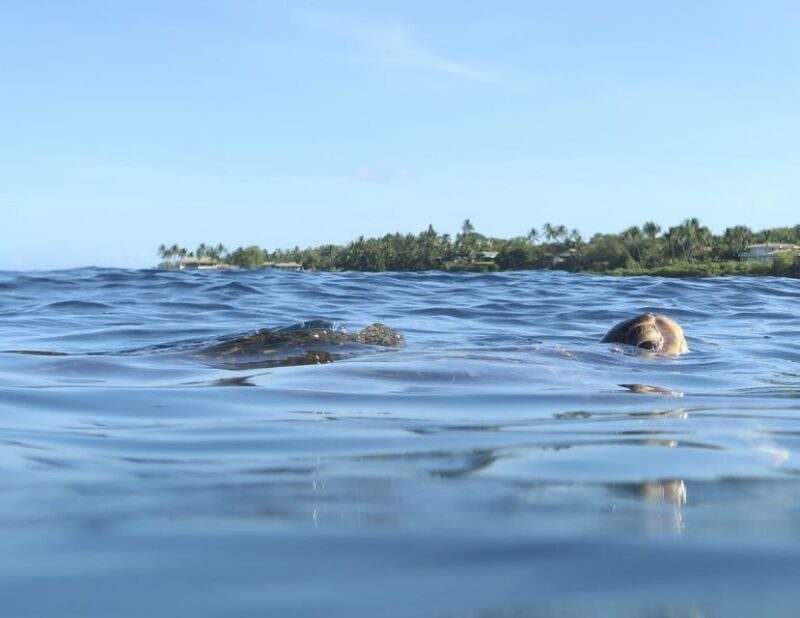 Maui: Beginner Level Private Stand-Up Paddleboard Lesson - An Honest Look at What to Expect