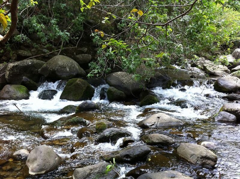 Maui: Best of Maui/Haleakala - Sips, Sites & Bites - Who Will Love This Experience?