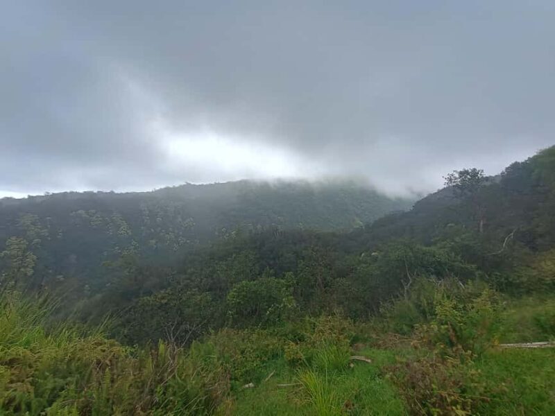 Maui: East Side Hiking Tour - An In-Depth Look at the Maui East Side Hiking Tour