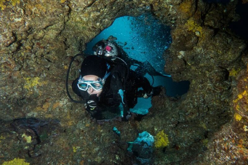 Maui: Eco-Friendly Conservation Scuba Dive Certified Divers - An honest look at Mauis eco-conscious scuba experience