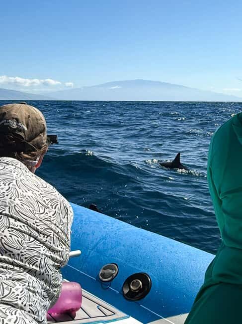 Maui: Eco-Raft Dolphin Watch Tour with Snacks - Who This Tour Is Best For