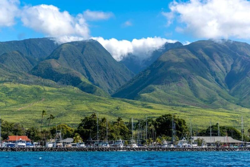 Maui: Eco-Raft Dolphin Watch Tour with Snacks - The Sum Up: Why It’s a Solid Choice