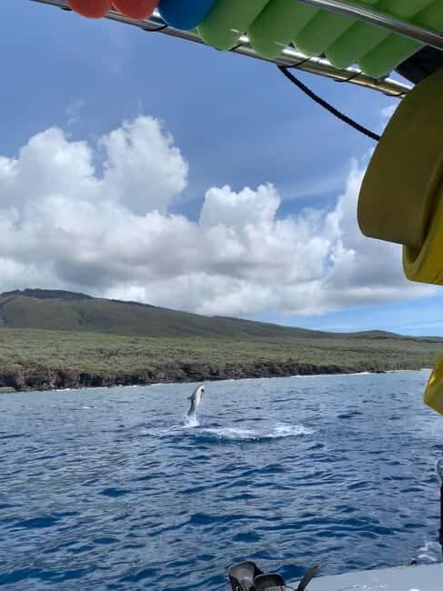 Maui: Eco-Raft Dolphin Watch Tour with Snacks - FAQ