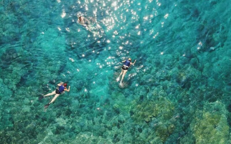 Maui Eco Raft: Turtle Snorkel + Whale Watch(Semi-Private) - FAQ