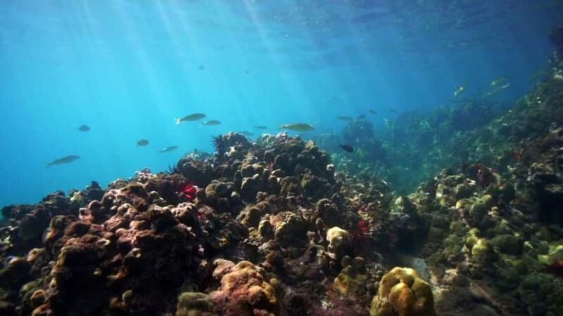 Maui: Flotation Therapy Equipment Rental - The Benefits We Think Youll Love