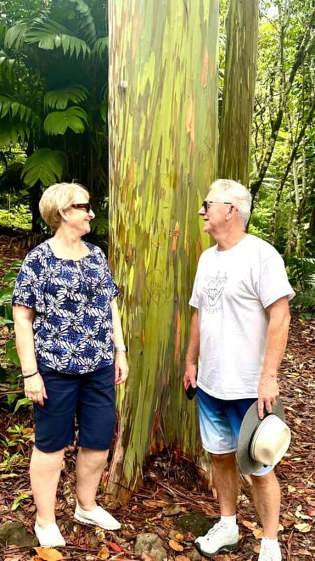 Maui: Full-Day Hana Tour with Snacks and Drinks - Key Points