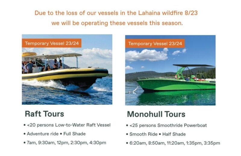 Maui: Guided Whale Watching Tour on Eco Raft - The Experience: What to Expect from Start to Finish
