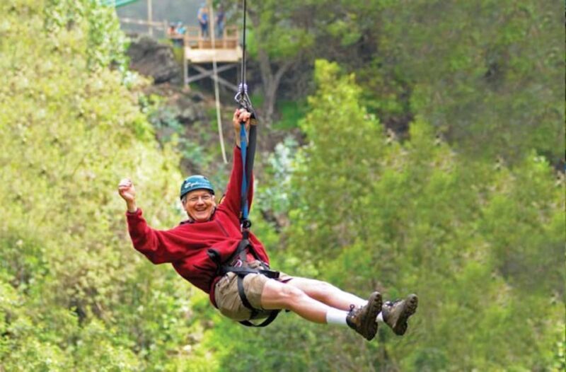 Maui: Haleakala 6-Line Zipline Adventure - Key Points