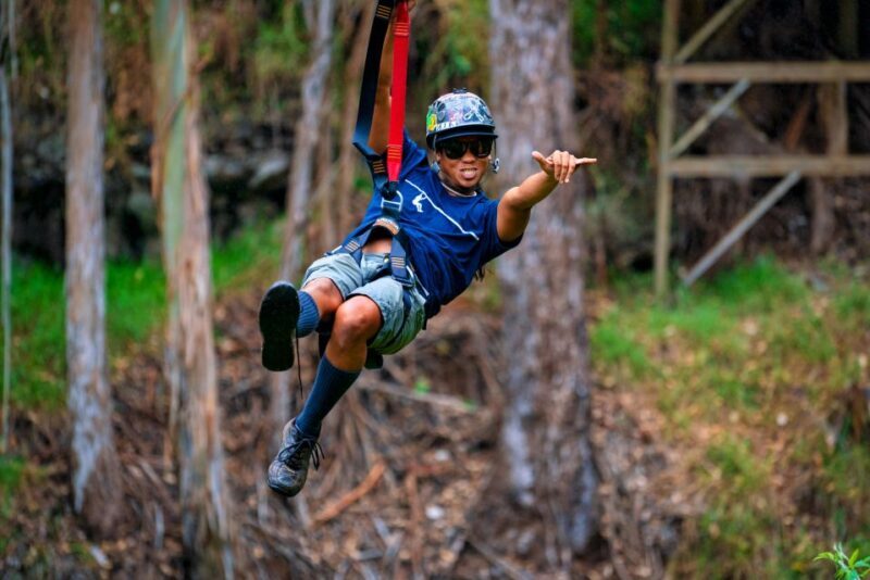 Maui: Haleakala 6-Line Zipline Adventure - The Practicalities