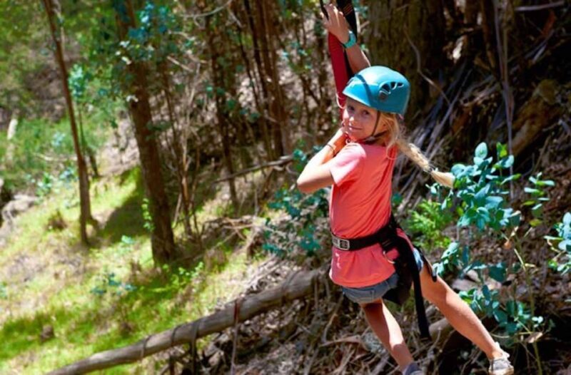 Maui: Haleakala 6-Line Zipline Adventure - The Reviews: Authentic Voices