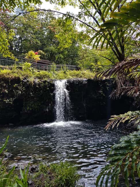 Maui: Halfway to Hana Black Sand Beach & Turtles Tour - An In-Depth Look at the Halfway to Hana Black Sand Beach & Turtles Tour