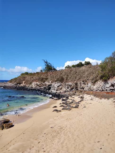 Maui: Halfway to Hana Black Sand Beach & Turtles Tour - Who Should Consider This Tour?