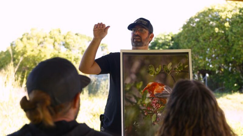 Maui: Honolua Ridgeline Informational Hike - What to Expect During the Hike