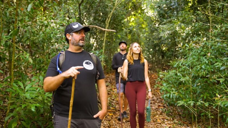 Maui: Honolua Ridgeline Informational Hike - The Itinerary and Key Stops