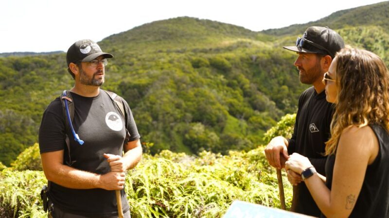Maui: Honolua Ridgeline Informational Hike - Pricing and Overall Value