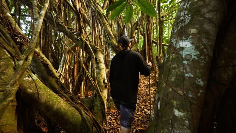 Maui: Honolua Ridgeline Informational Hike - FAQs