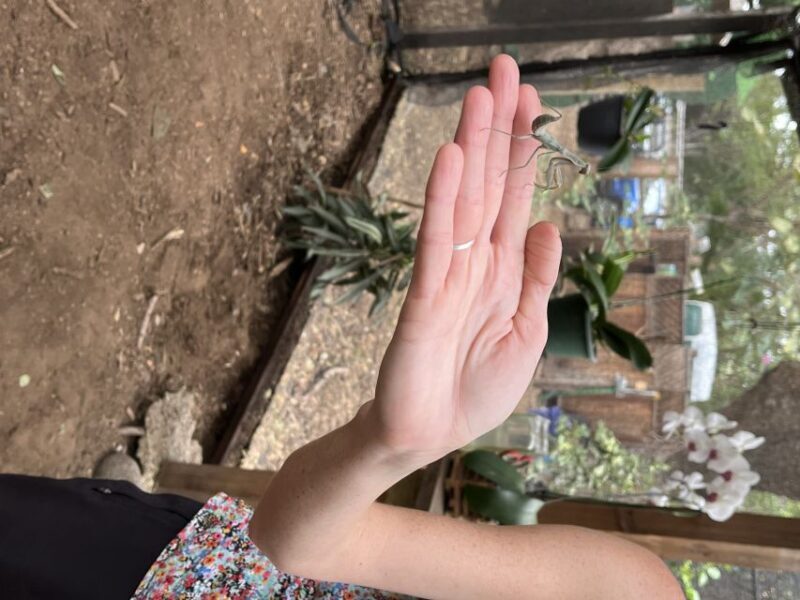 Maui: Interactive Butterfly Farm Entrance Ticket - The Rich Feedback from Visitors