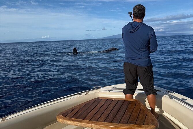 Maui Intimate Luxury Powerboat Private Charter - Practical Details