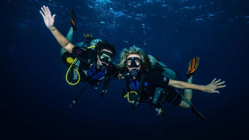 Maui: Intro to Scuba Diving from Shore - Lahaina - The Sum Up