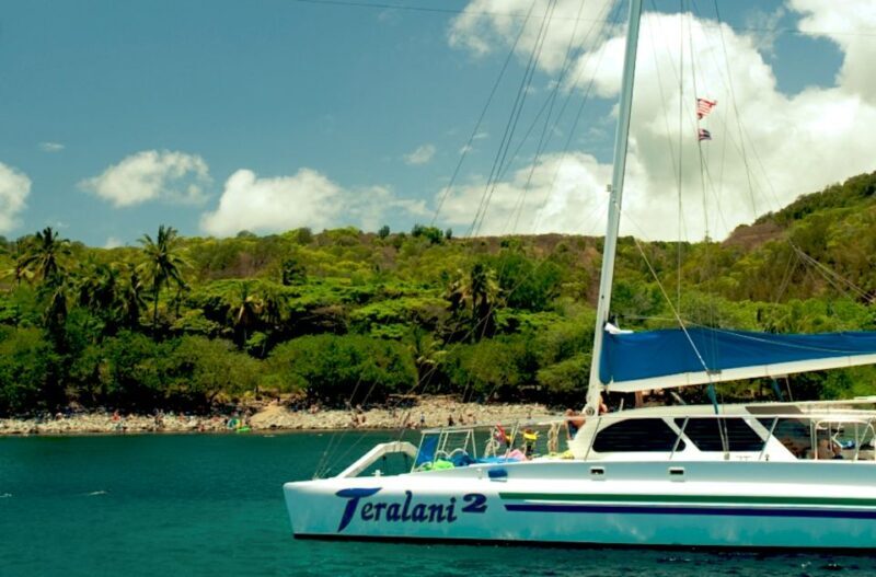 Maui: Kaanapali Beach 4-hour Snorkel w/ BBQ Lunch & Open Bar - Final Thoughts