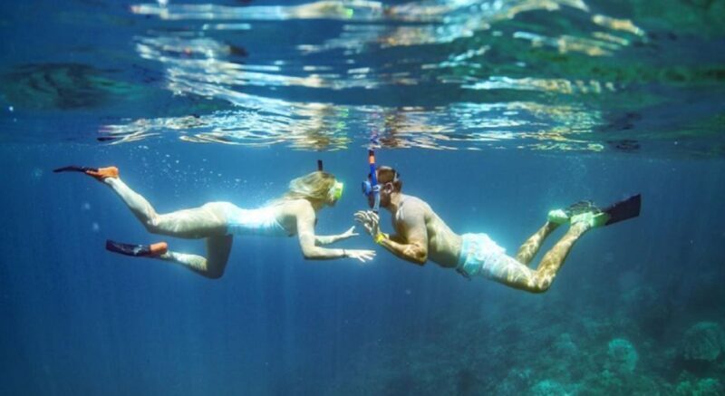 Maui: Kaanapali Beach 4-hour Snorkel w/ BBQ Lunch & Open Bar - The Sum Up