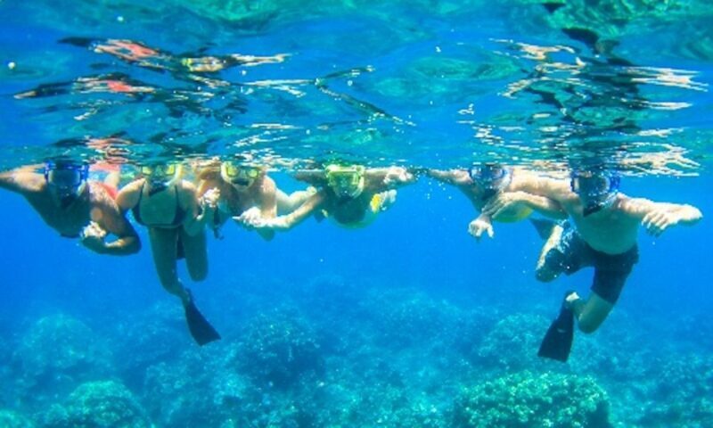 Maui: Kaanapali Beach 5-hr Snorkel w/ BBQ Lunch & Open Bar - Authentic Experiences & Guest Feedback
