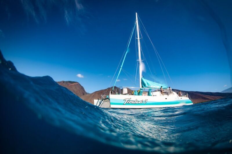 Maui: Kaanapali Dolphin Watching Boat Trip with Lunch - Key Points