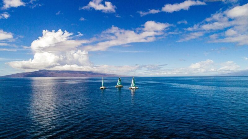Maui: Kaanapali Dolphin Watching Boat Trip with Lunch - Final Thoughts: Is It Worth It?