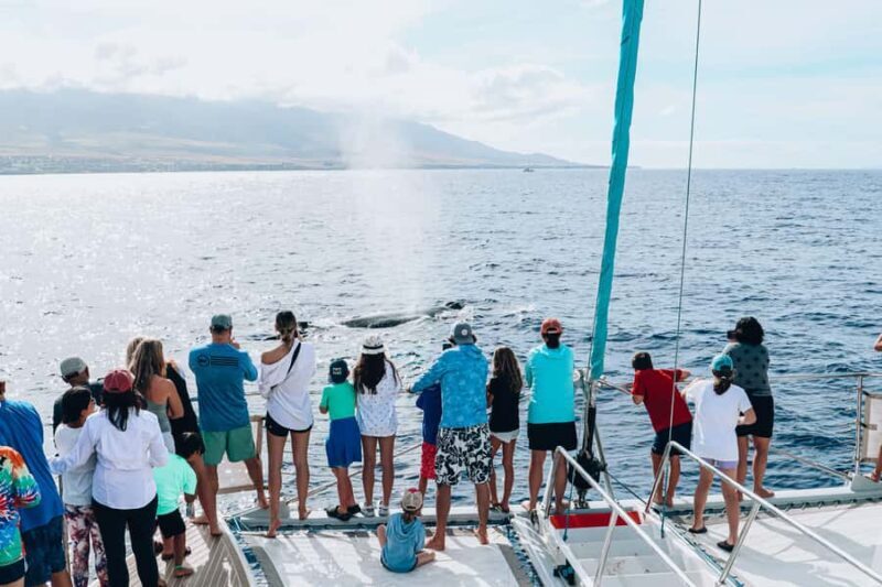 Maui: Ka'anapali Whale Watching Cruise on Luxury Sailboat - FAQ
