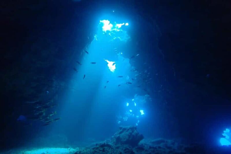 Maui: Lahaina Twilight and Night Eco Scuba Dive - Key Points