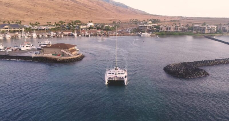 Maui: Luxury Catamaran Alii Kai Royal Sunset Dinner Cruise - Who Would Love This Experience?