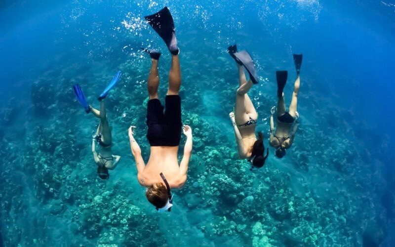 Maui: Luxury Catamaran Turtles & Tacos Snorkel - What Sets This Tour Apart?