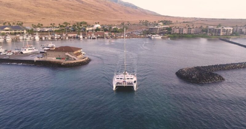 Maui: Luxury Catamaran Whale Watch & Sail - The Experience and Itinerary
