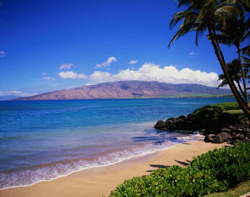 Maui: Makena Bay Kayak and Snorkel Tour - The Snorkeling Segment: Encountering Marine Life