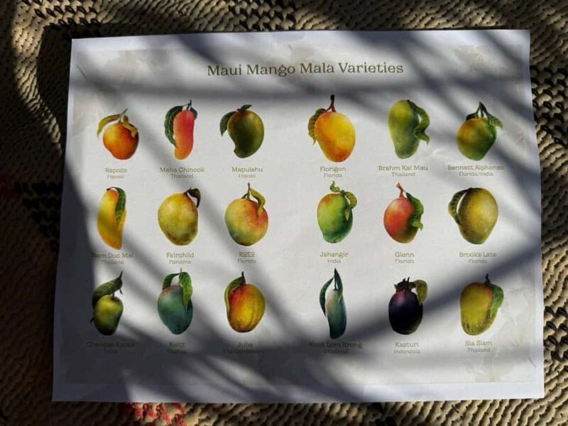 Maui: Mango Farm Sunset Tour with Fruit Tasting and Photos - Sunset and Scenic Views
