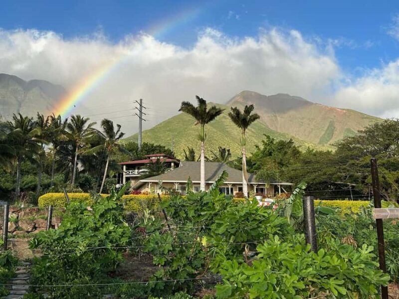 Maui: Mango Farm Sunset Tour with Fruit Tasting and Photos - The Farm Store and Additional Tips