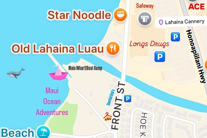 Maui Mid Day Magic Whale Watch - What to Expect on the Maui Mid Day Magic Whale Watch