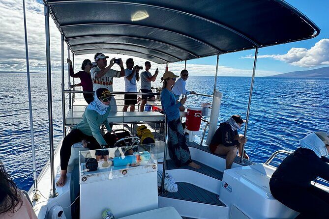 Maui Mid Day Magic Whale Watch - The Sum Up