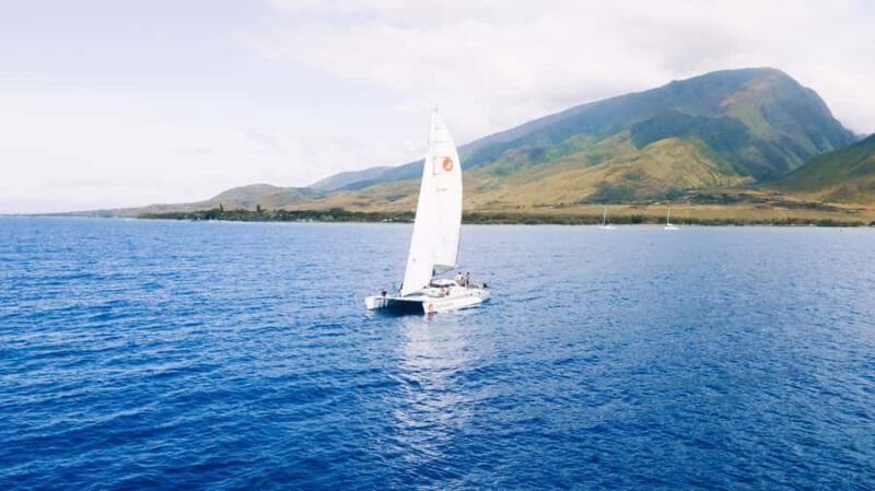 Maui: Midmorning Sail with the Whales Lahaina Harbor - Final Thoughts