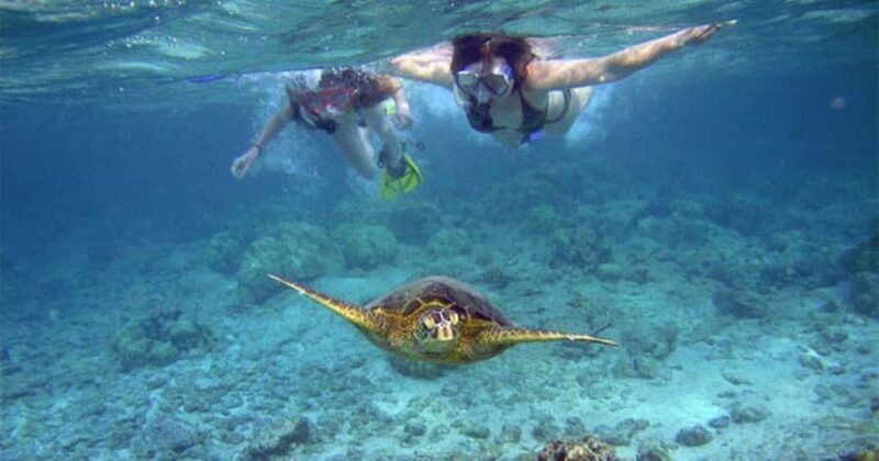 Maui: Molokini Crater and Turtle Town Snorkeling Tour - 3 hr - The Experience from Travelers’ Perspectives