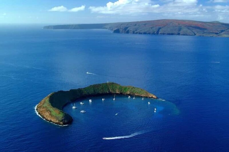 Maui: Molokini Express Snorkeling Tour - 2 hours - Key Points