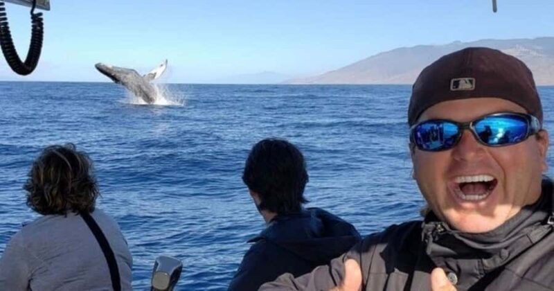 Maui: Molokini Snorkel and Whale Watching Tour - 2.5 hours - Key Points