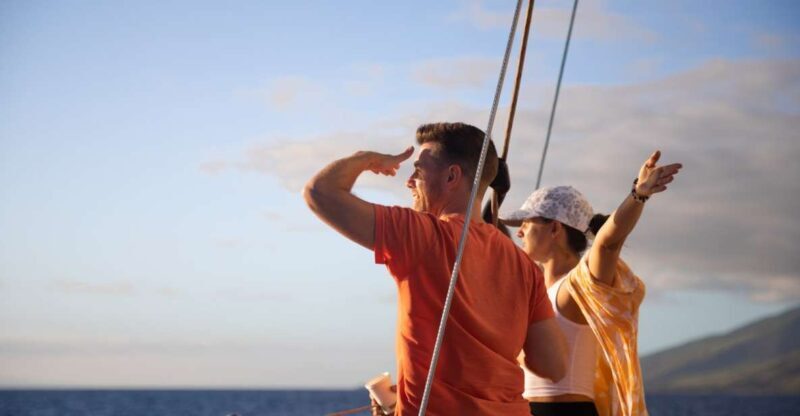 Maui: Morning Sail with the Whales Ma'alaea - Setting the Scene: What to Expect on the Morning Sail