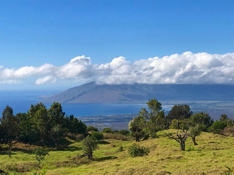 Maui: Private Island Tour with Meals & Snorkeling - What You Need to Know Before Booking