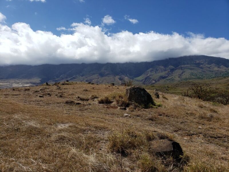 Maui : Private : Road to Hana Day Trip : Just For Your Group - Reviewing the Value