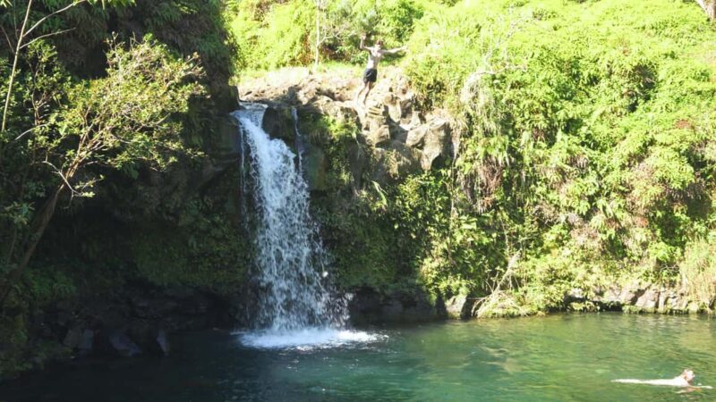 Maui: Private Road to Hana Rainforest and Waterfall Tour - An In-Depth Look at the Private Road to Hana Tour