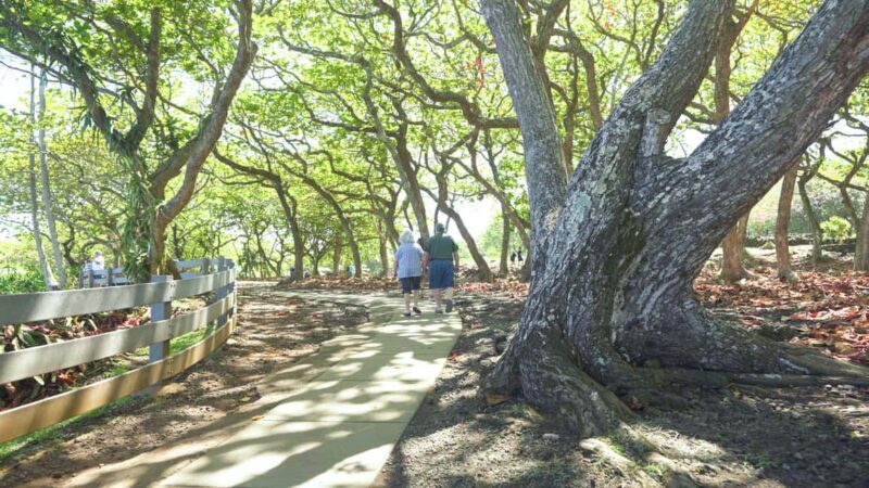 Maui: Private Road to Hana Rainforest and Waterfall Tour - FAQ