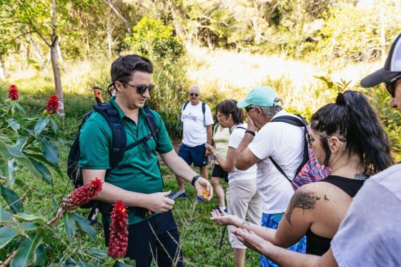 Maui: Rainforest Waterfalls Guided Hike with Picnic Lunch - Picnic Lunch and Relaxation